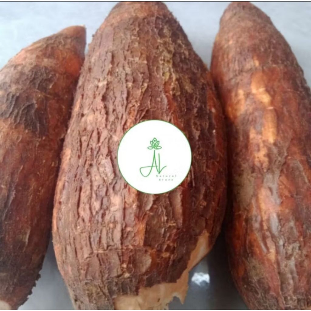 

Singkong Sapi Kuru Karihkil / Singkong Genderuwo Segar 1 Kg