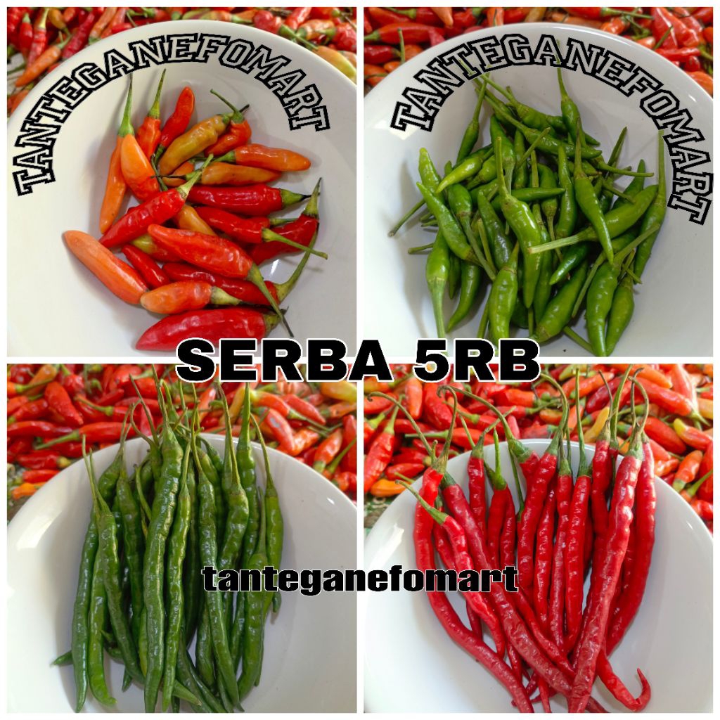 

Cabe Cabai Serba Goceng // Varian Cabai Cabe 5RB Goceng // Cabe Cabai Murah Goceng 5RB