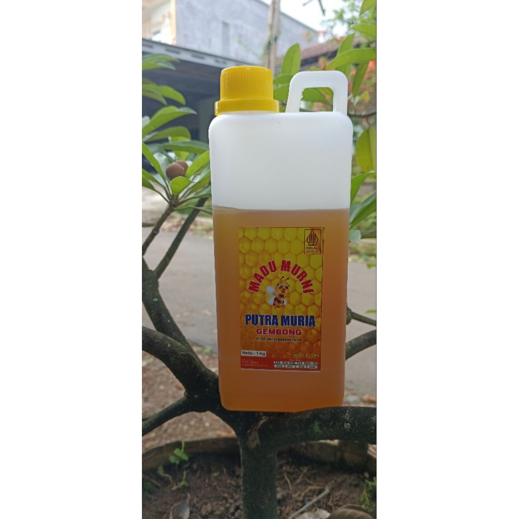 

Madu Murni PUTRA MURIA GEMBONG 1kg