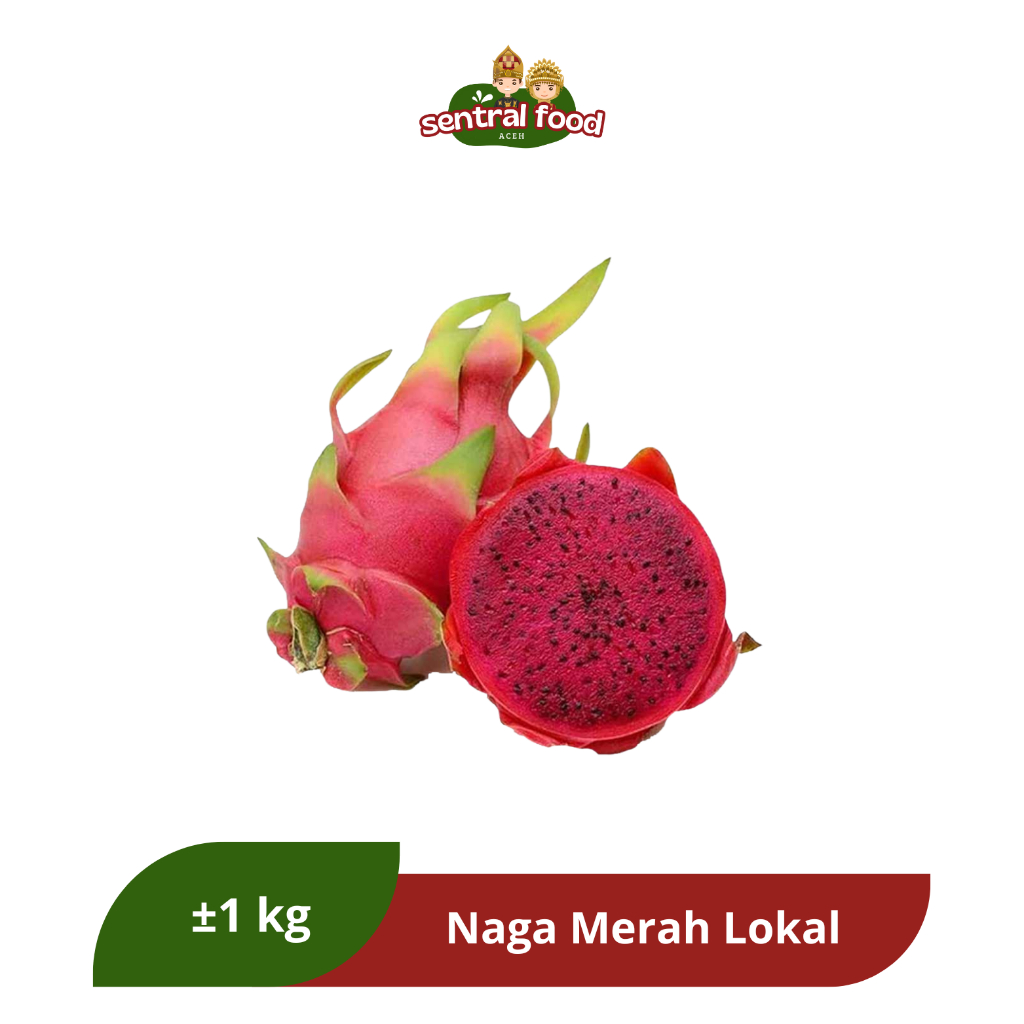 

Buah Naga Merah Lokal 1 Pcs