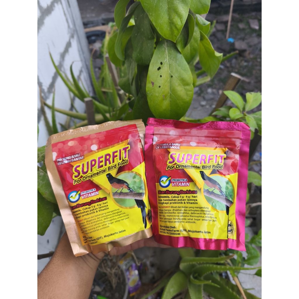 VOER SUPER FIT GOLD PAKAN BURUNG MURAI BATU UNTUK HARIAN DAN LOMBA