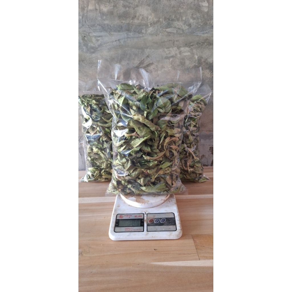 

Daun salam kering 100 gram