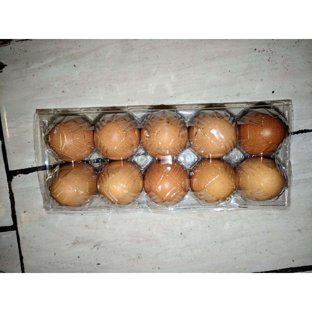 

Telur Ayam Negeri isi 10 pcs