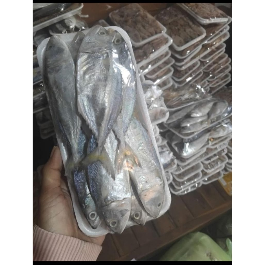 

Ikan Peda/Iwak pedo/ikan kembung kering