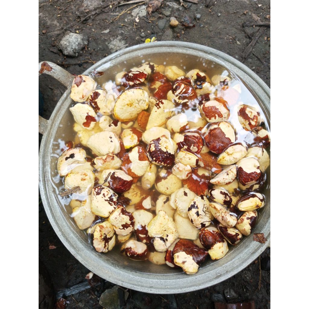 Gayam Kupas 500g