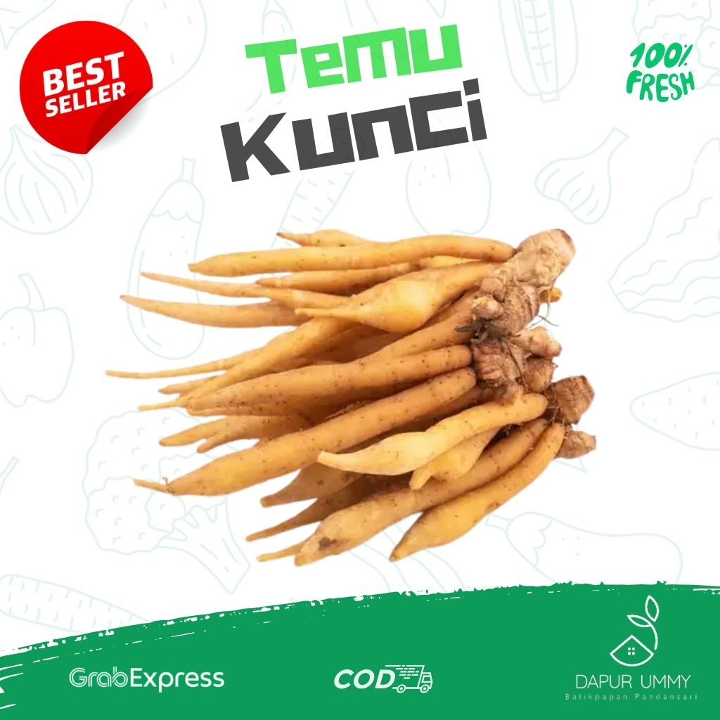 

REMPAH • Temu Kunci