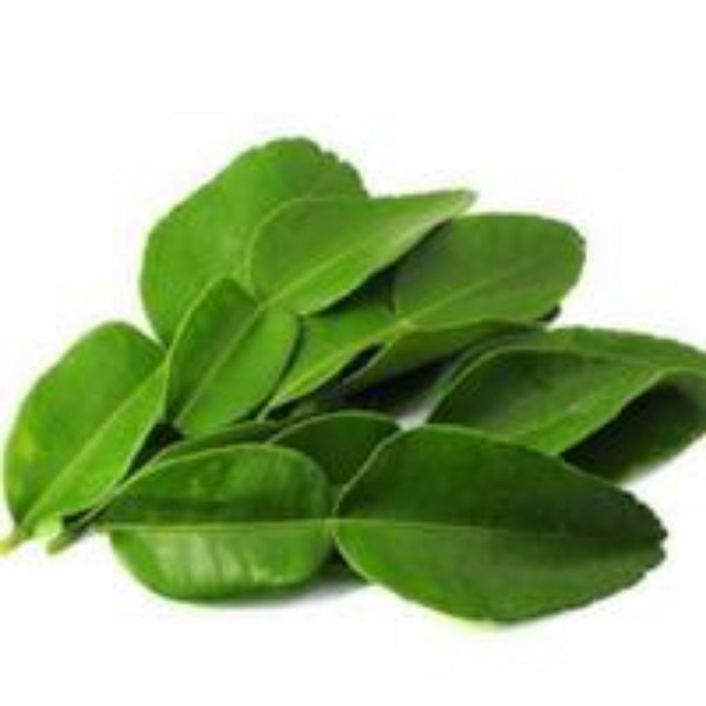 

Daun jeruk Bali di jual per 100 gram