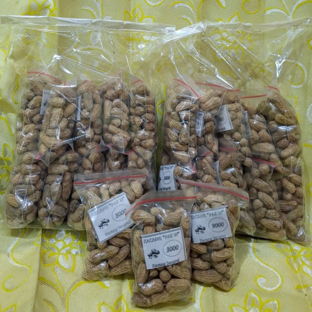 

KACANG SANGRAI 50 GRAM / PCS ISI 10 PCS / PACK