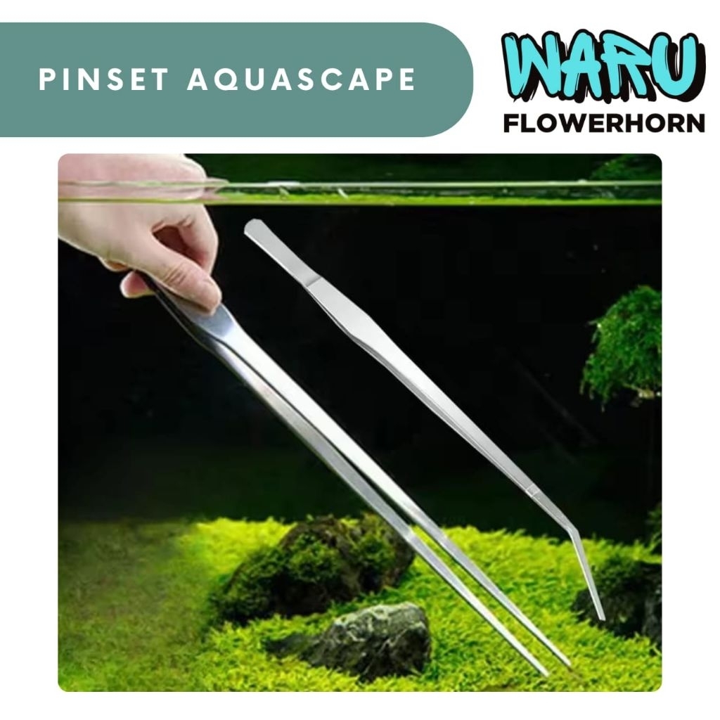 PINSET || TWEEZER PINSET AQUASCAPE 25CM || PINSET REPTIL 25CM