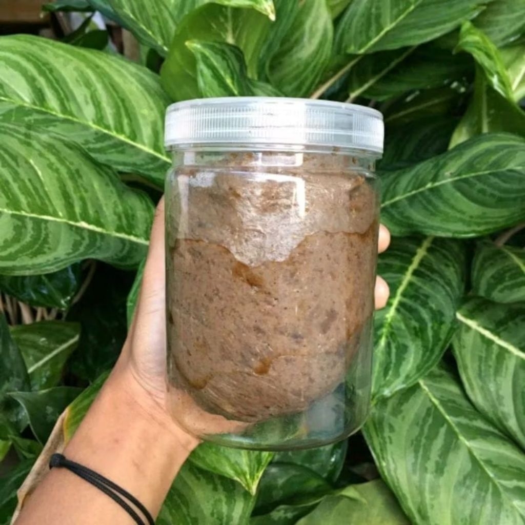 COD pulut burung super lengket anti zonk 500gram | Sahabstore99