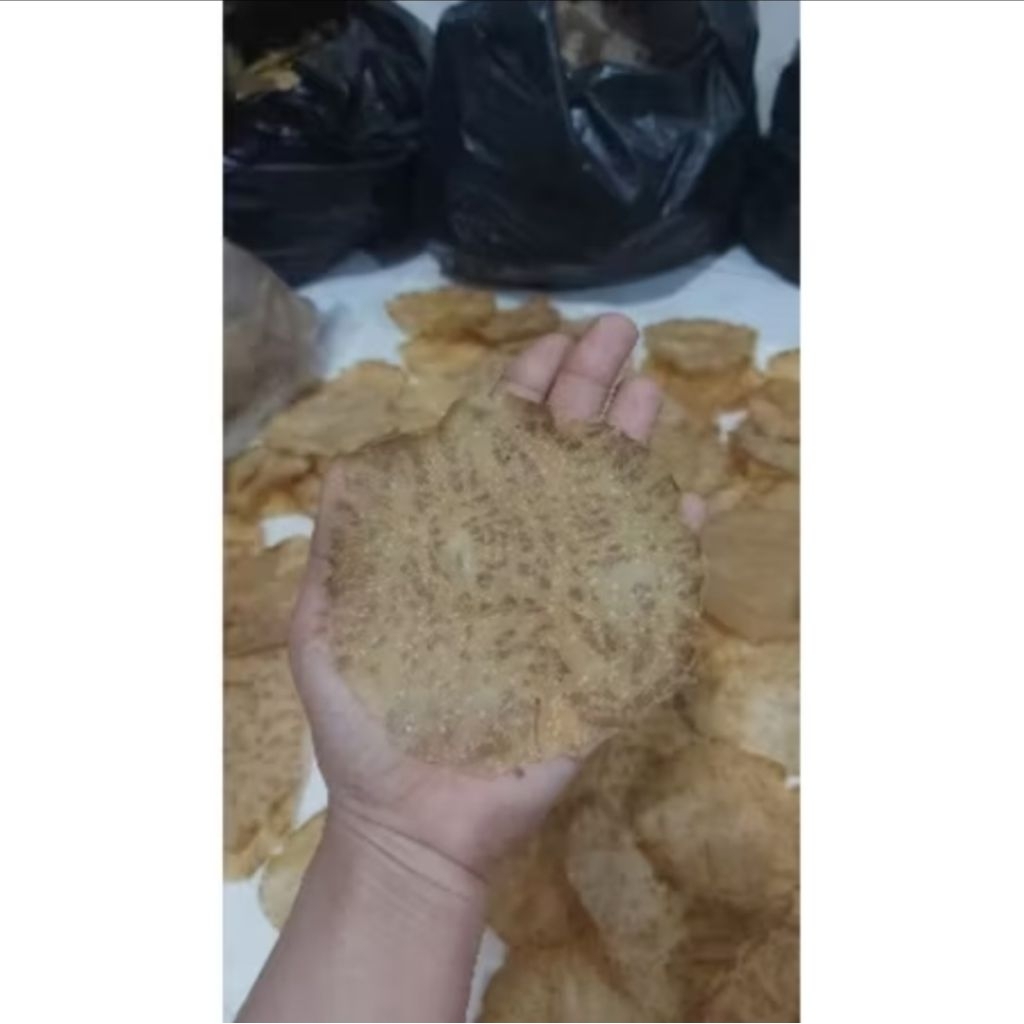 

HARGA PROMO, KLIK LALU DAPATKAN DISKON !!!! Kerupuk jengkol mentah UKURAN SEDANG murah enak 100% jengkol asli