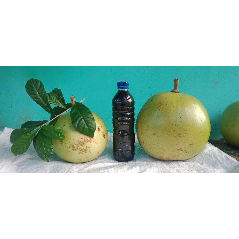 

sari pati buah maja/grenuk 600ml
