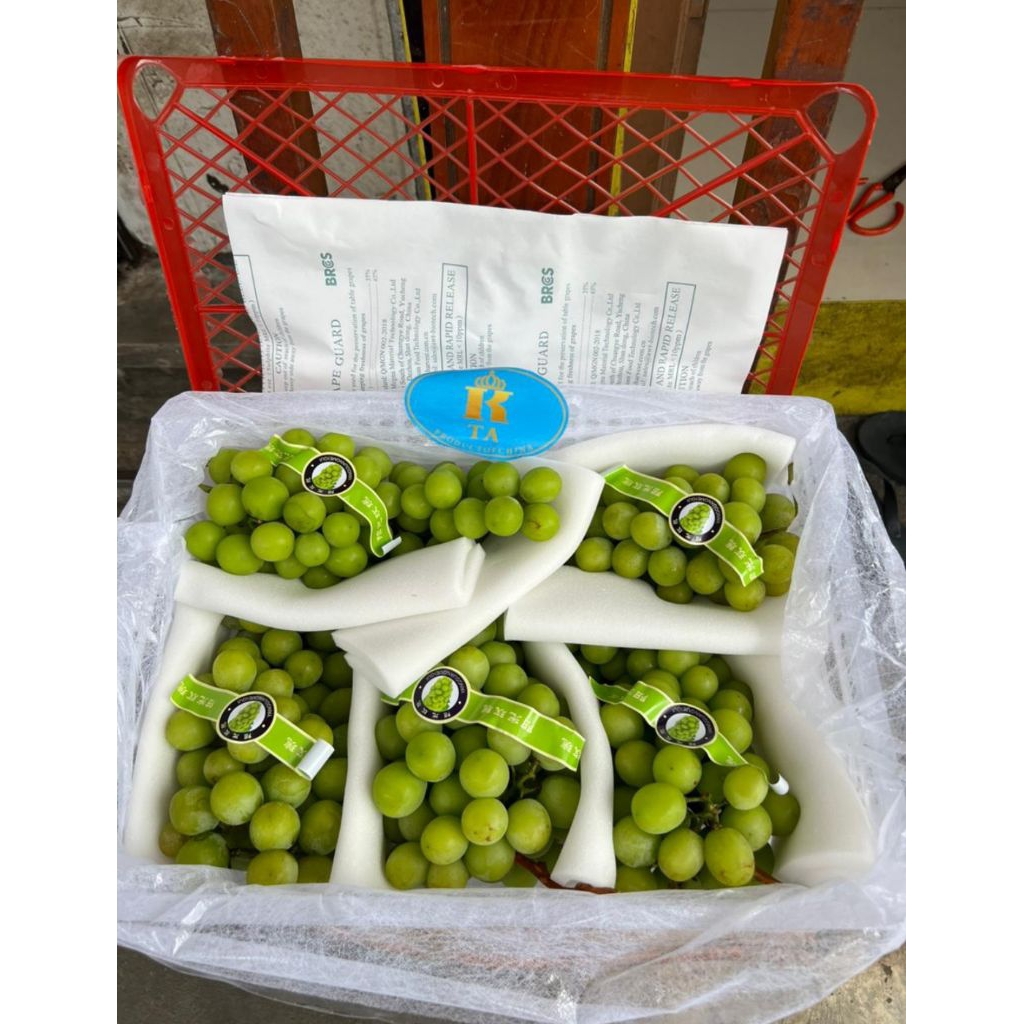 

Anggur Muscat Krat 5 Kg Anggur Hijau Seedless Tanpa Biji