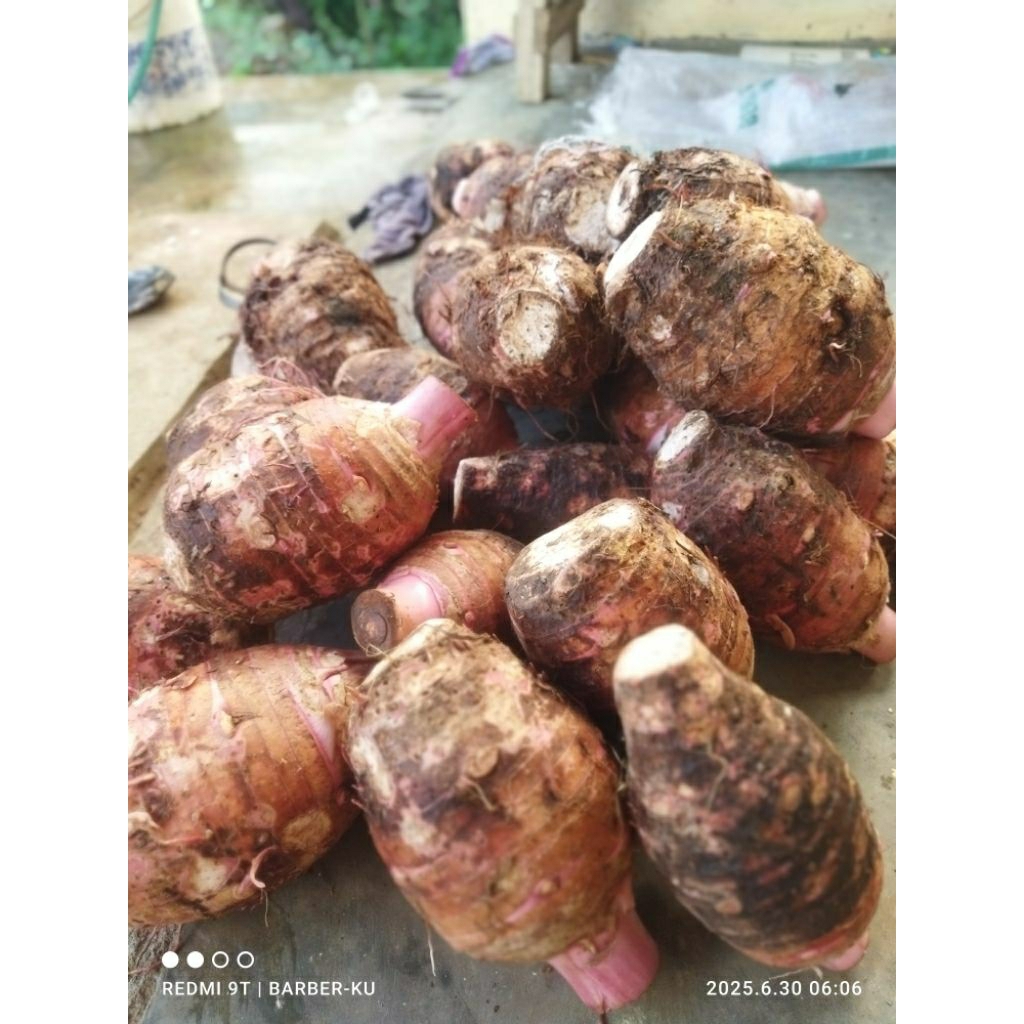 

umbi talas ungu Pratama 3, super pulen , tekstur lembut1kg isi 1-3pcs