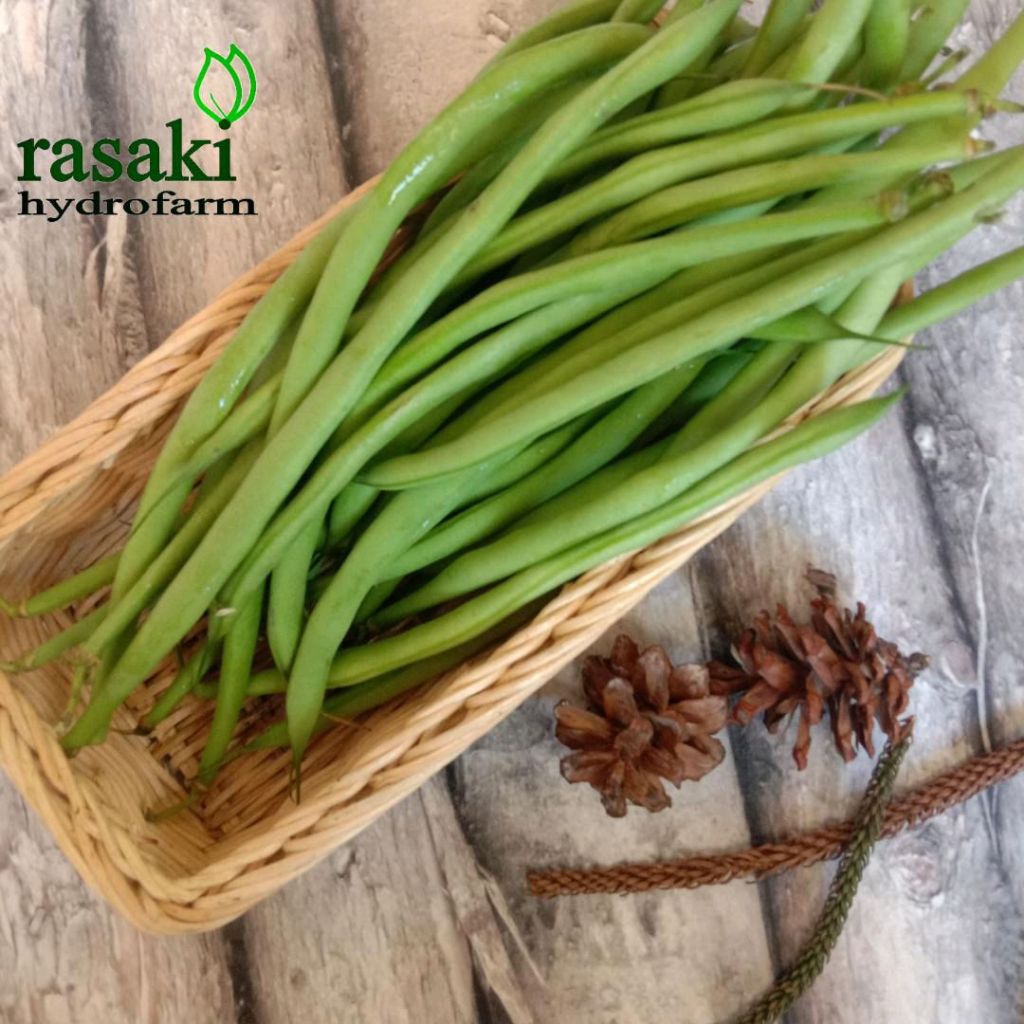 

sayur buncis 250 gram