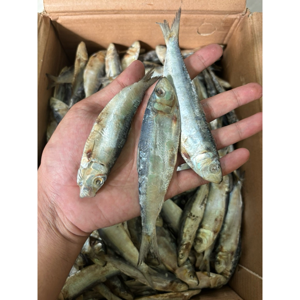 

Ikan Asin Tembang Sisik Kaca 250gr