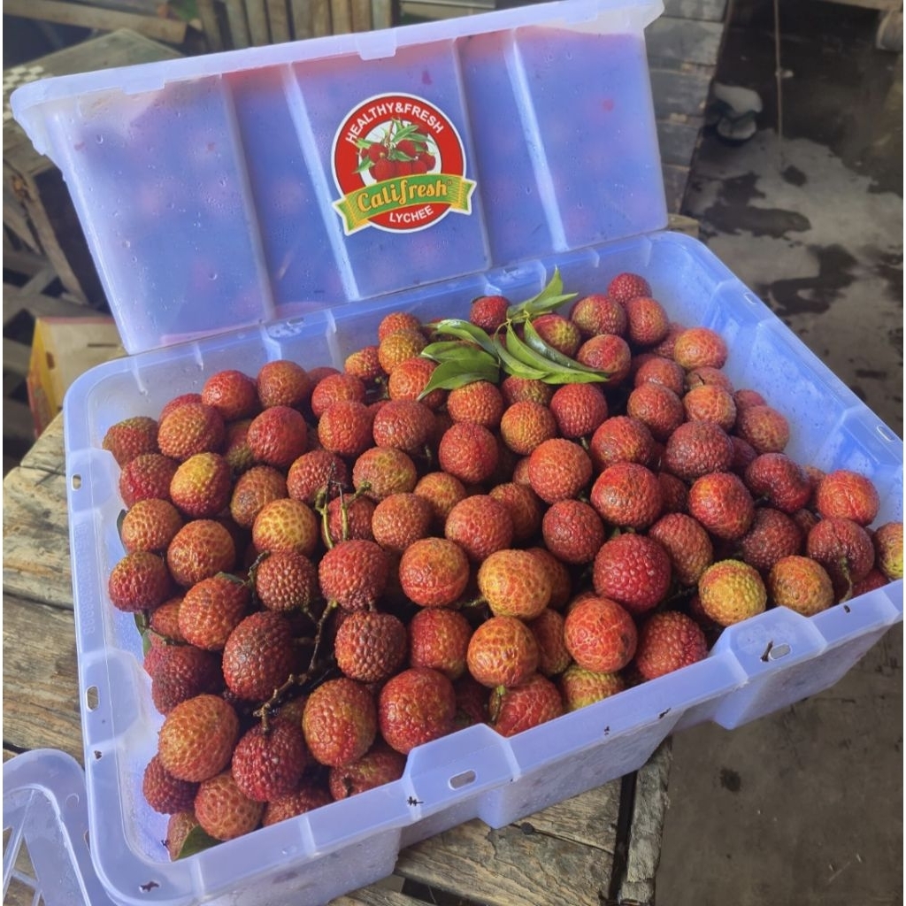 

Leci Merah 1kg / Lychee Malang Kota
