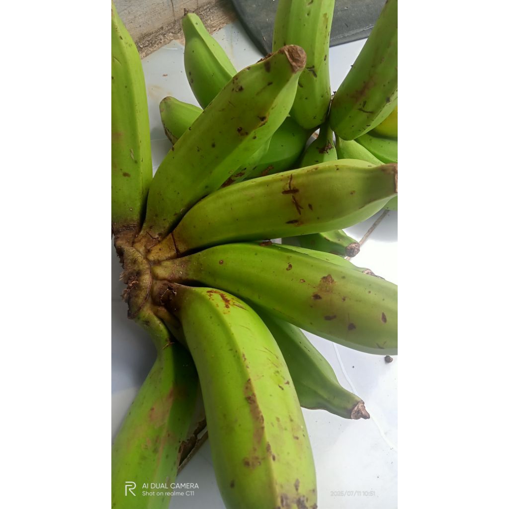 

pisang nangka mentah,,ntto30012/5kg
