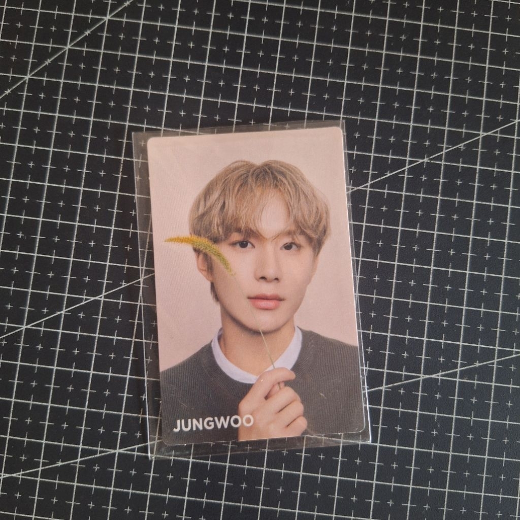 NCT127 Jungwoo Nature Republic Cica Version Photocard PC Official