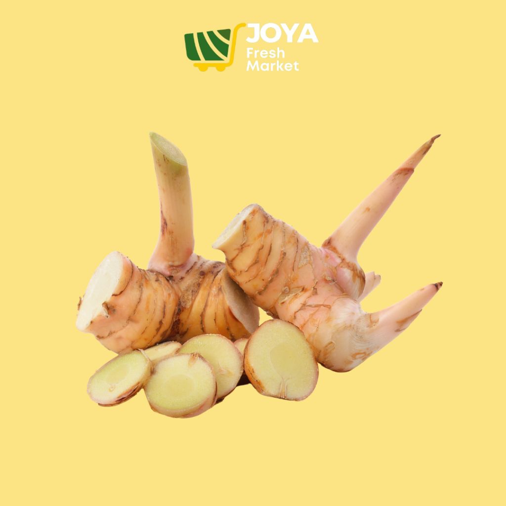 

Joya Fresh - Lengkuas/Laos Segar/Rempah Segar