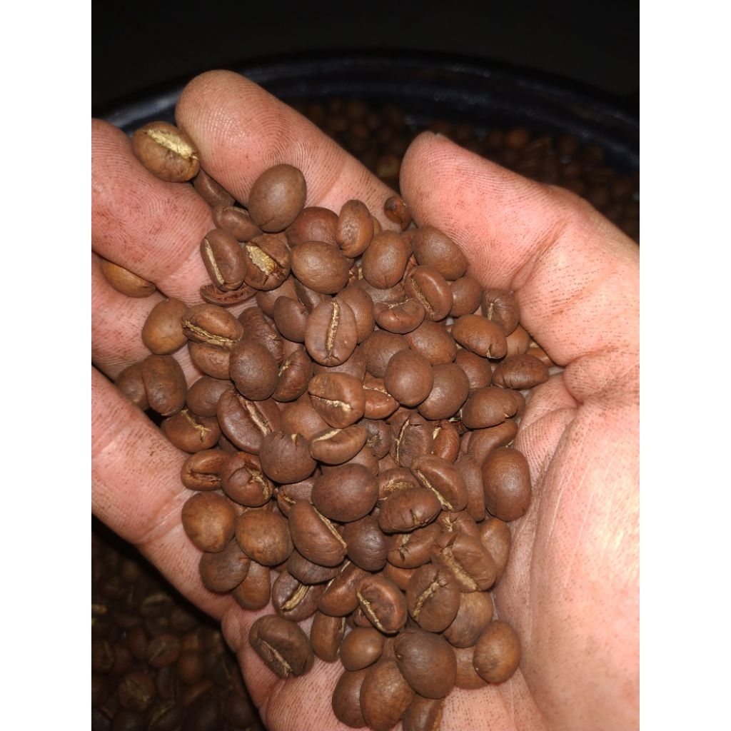 

Bubuk Kopi Robusta gride A