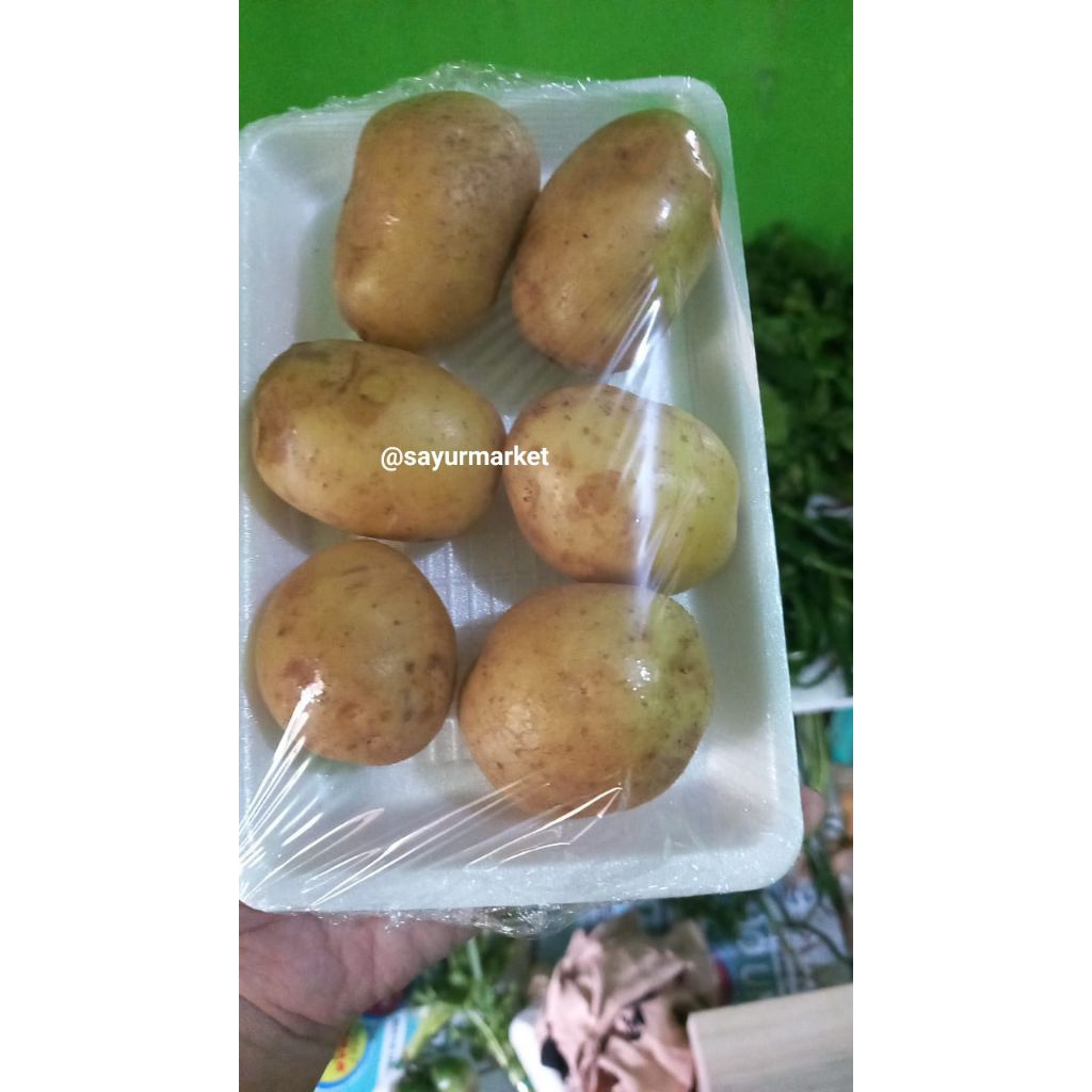 

KENTANG DIENG UK kecil