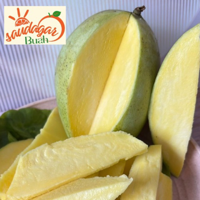 

BUAH MANGGA CANG MAY NAM DOK MAY LOKAL MENGKEL BERSAGU MANIS ASAM 1KG
