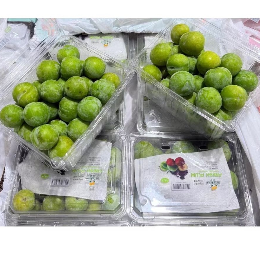 

BUAH PLUM HIJAU FRESH PACK 500gr