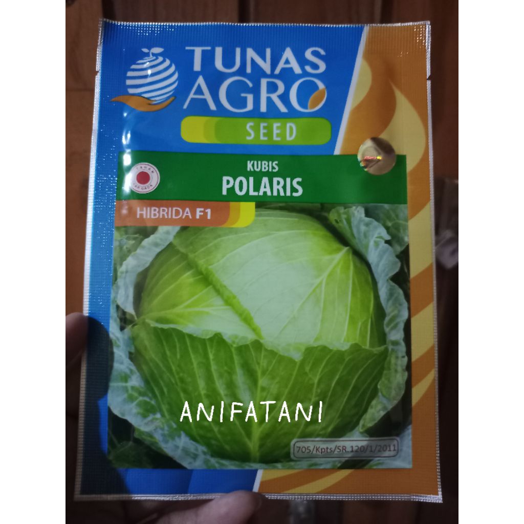 benih kubis POLARIS 20gram