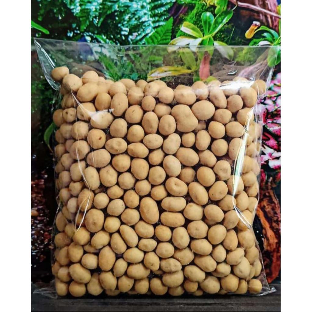 

KACANG BAWANG MAYASI 250GR RENYAH GURIH ENAK SNACK CEMILAN MAKANAN HALAL