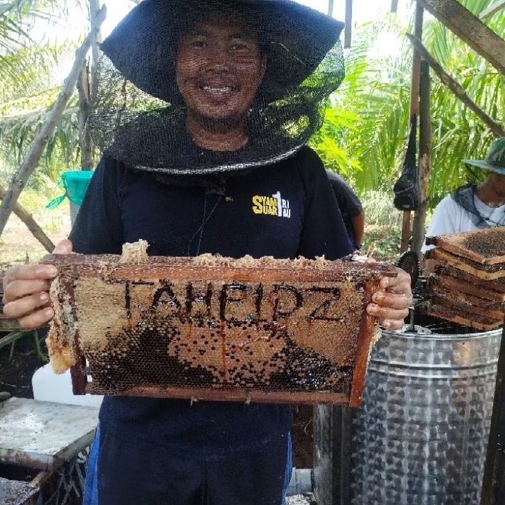 

madu akasia carpa ukuran ½kg madu akasia carpa murni alami asli dari hutan akasia Riau Pekanbaru