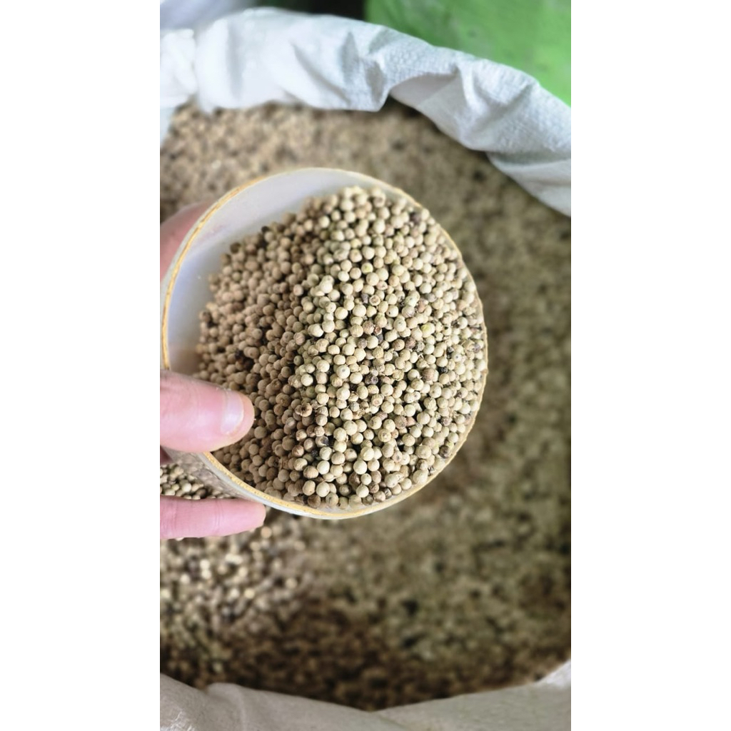 

LADA PUTIH / MERICA /WHITE PEPPER / REMPAH REMPAH / BUMBU DAPUR