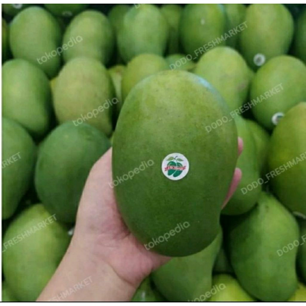 

mangga lily harumanis matang pohon 1kg