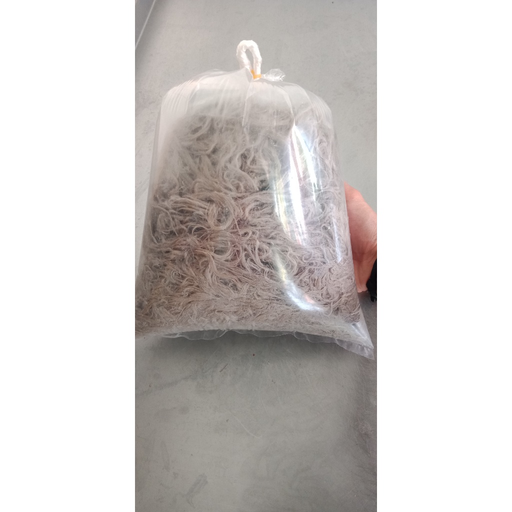 

MAKARONI pedas daun jeruk renyah 1kg best seller
