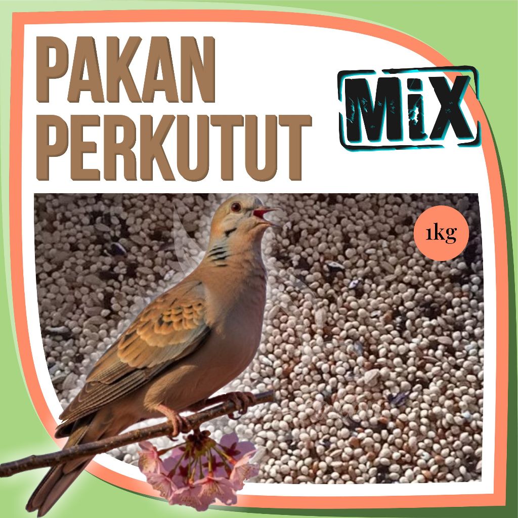 Pakan Burung Perkutut 1Kg Supaya Gacor Kiloan Biji Sawi Gabah Jewawut Kenari Seed Ketan Hitam Milet