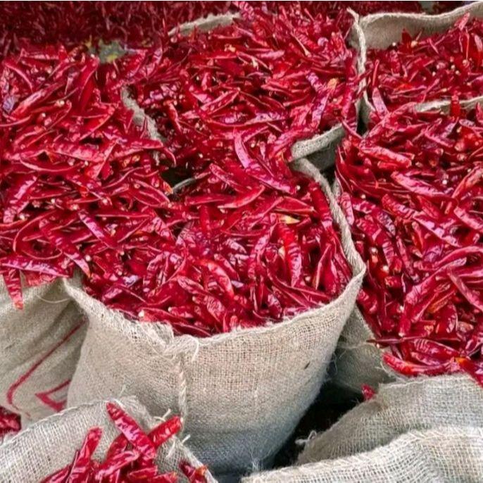 

Cabe Kering Merah Super 1000Gram Tanpa Tangkai Fresh Import Pedas