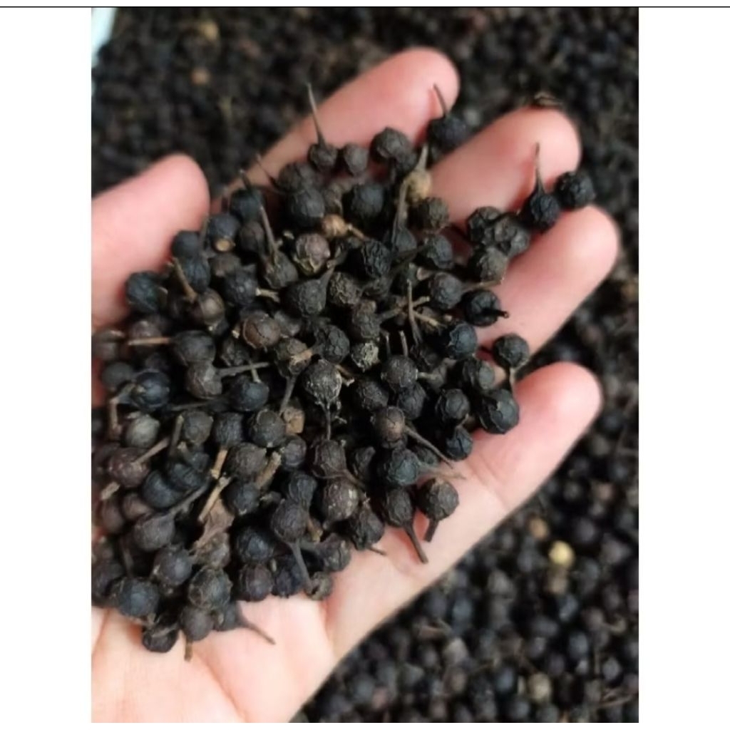 

kemukus kering rempah-rempah asli indonesia 1 kg