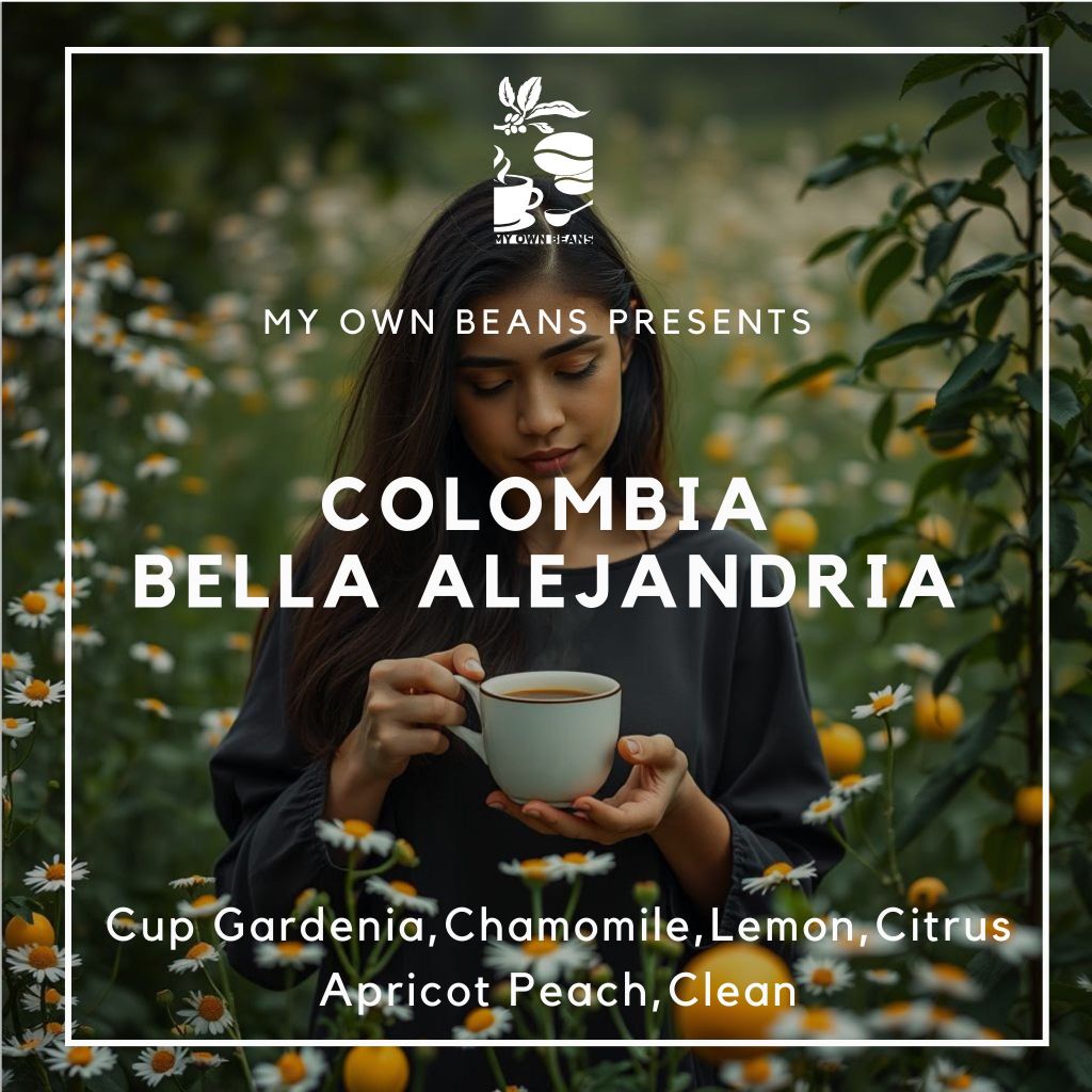 

COLOMBIA BELLA ALEJANDRIA speciality coffee BY MY OWN BEANS