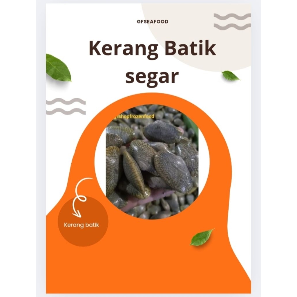 

Kerang Batik 1kilo 1000g Fresh Beku (FROZEN FRESH)