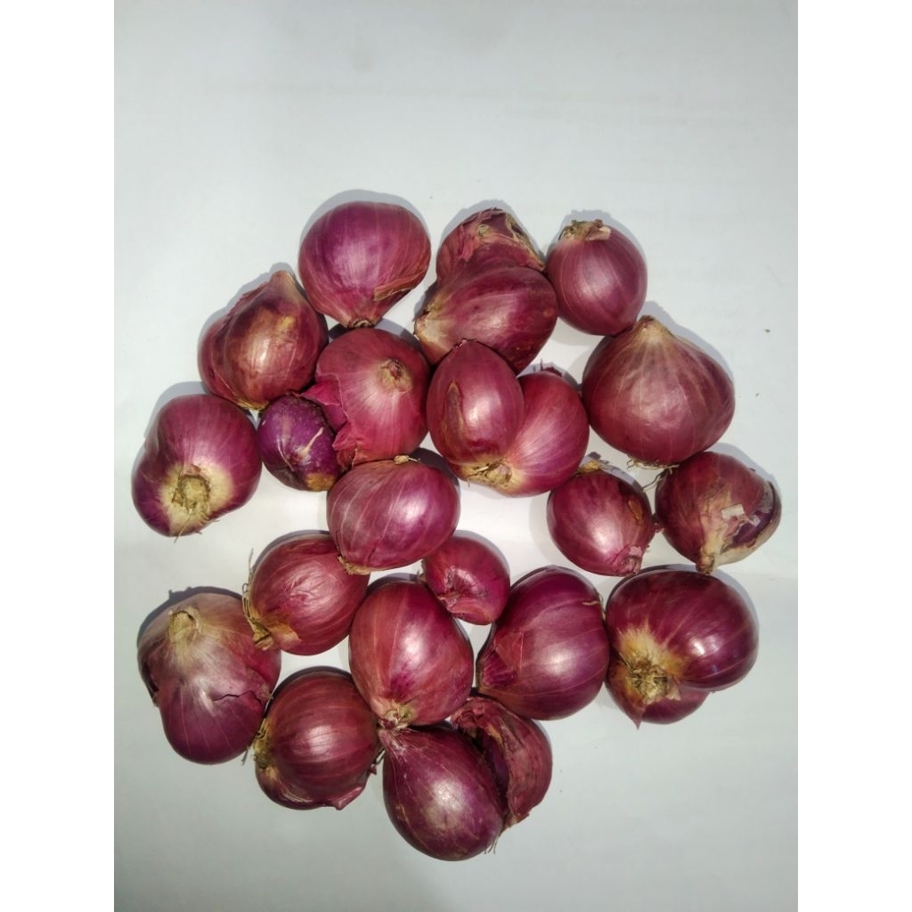 

bawang merah pilihan kemasan 500g
