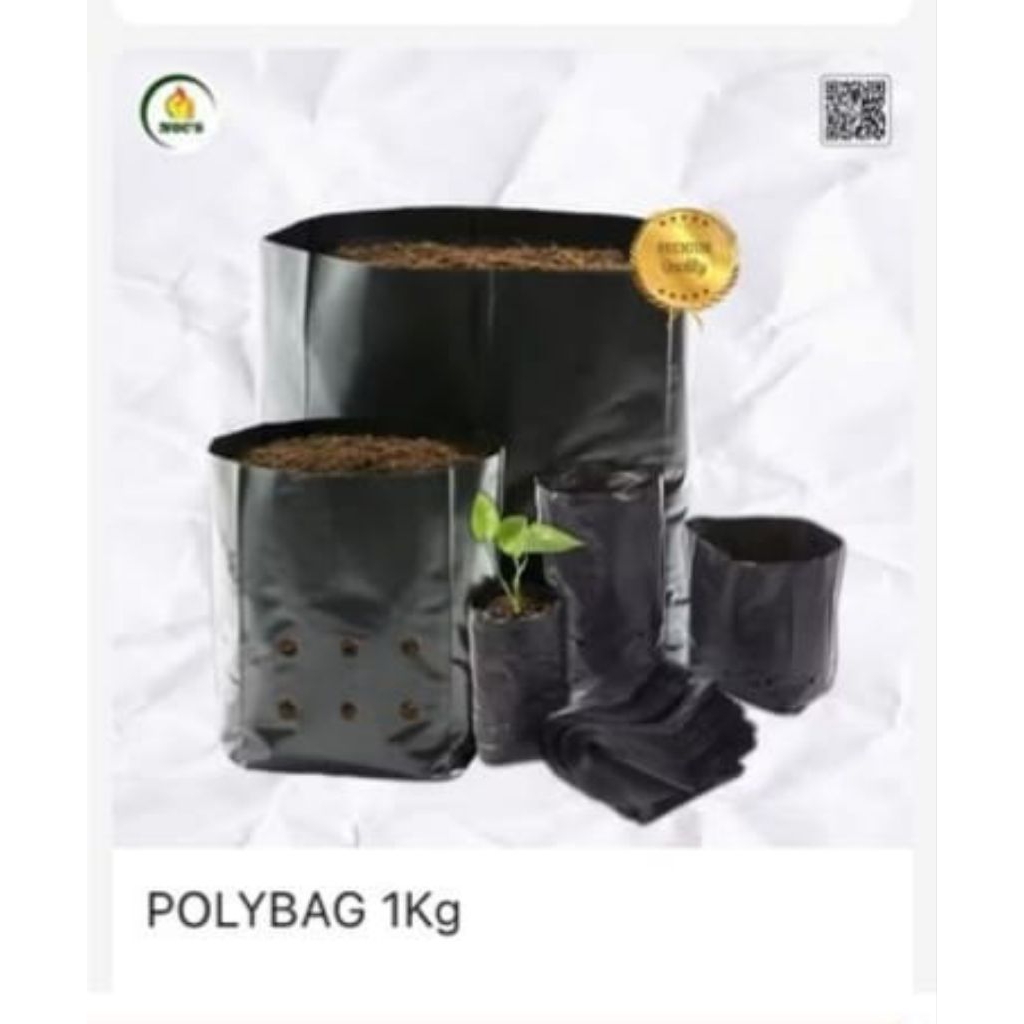 polybag tanaman kiloan