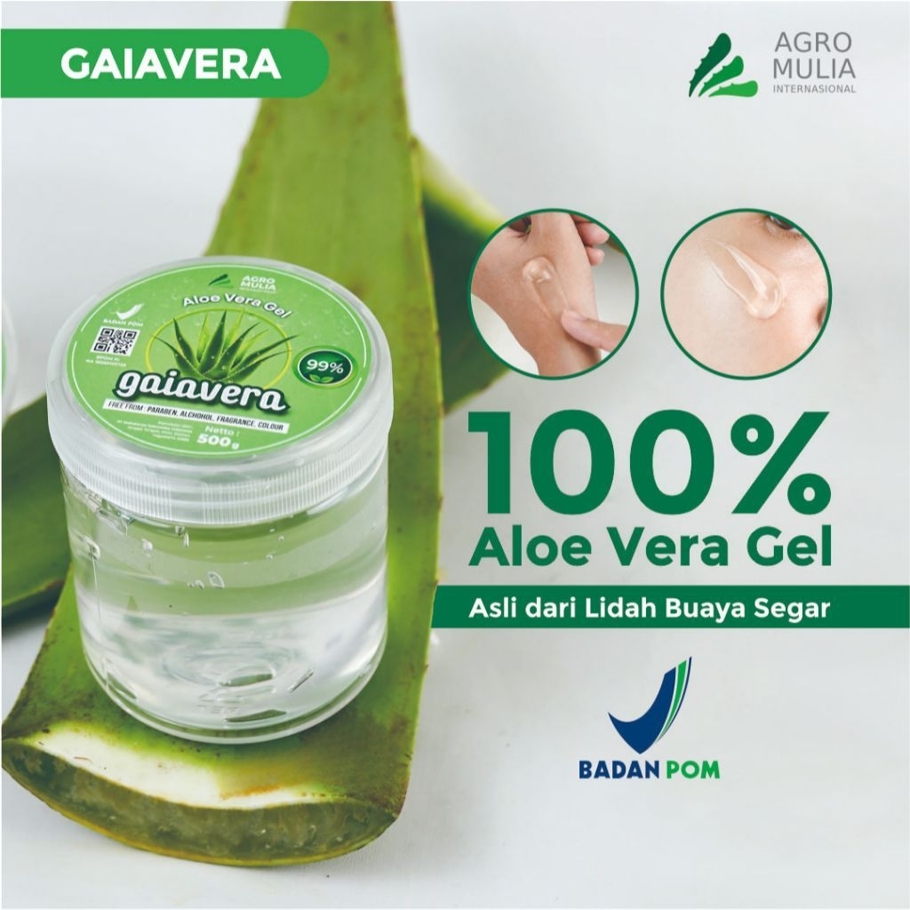 Gel Lidah Buaya 100% Organik Aloe Vera Asli Halal BPOM dari Pelepah Lidah Buaya Segar - 500g 500gr 5