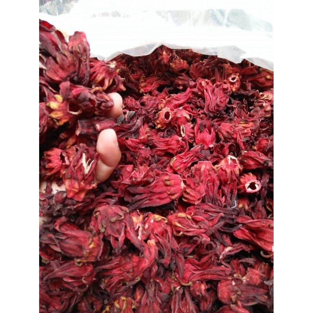 

Teh Bunga Rosella Merah Kering Kemasan 500 Gram Kualitas Panenan Terbaru 2025