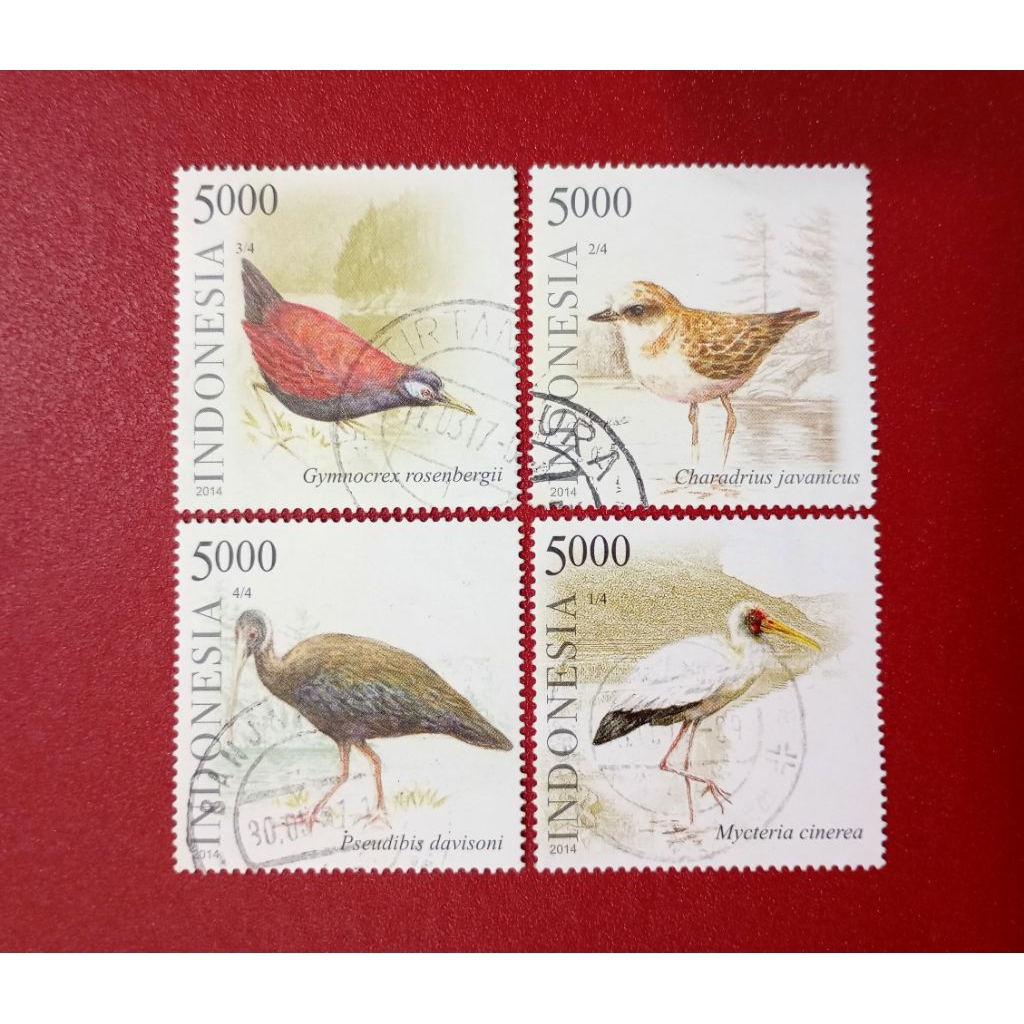 

PRANGKO INDONESIA BURUNG AIR 2014