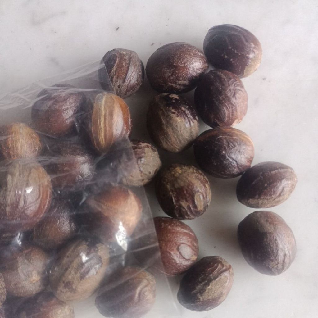 

Buah Pala utuh - Rempah khas Nusantara