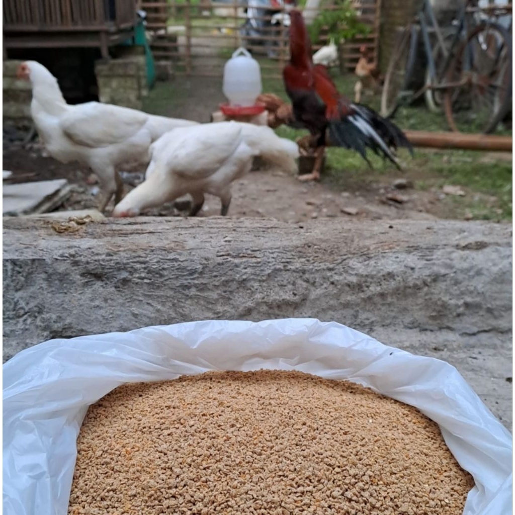 Pur Pedaging Cp 511 pur 511 repack 500g