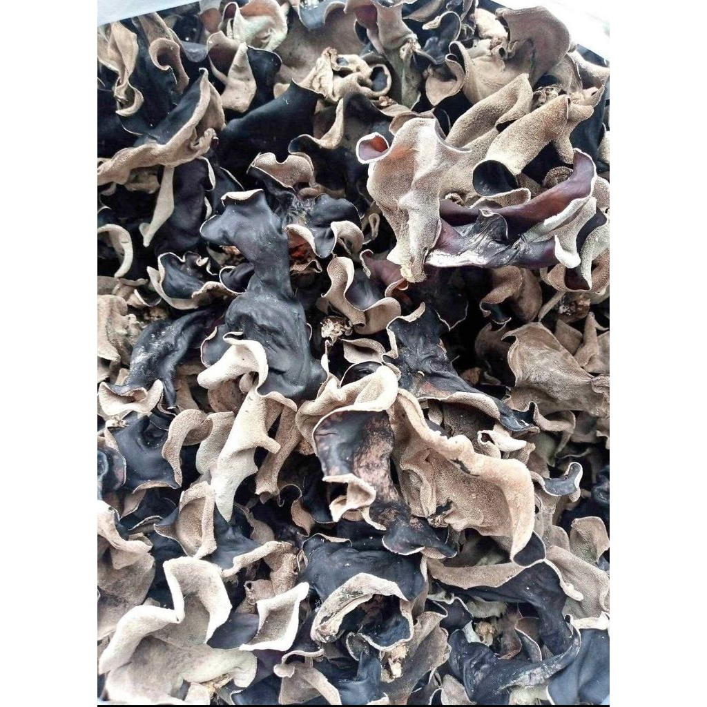 

JAMUR KUPING KERING KEMASAN 1000G