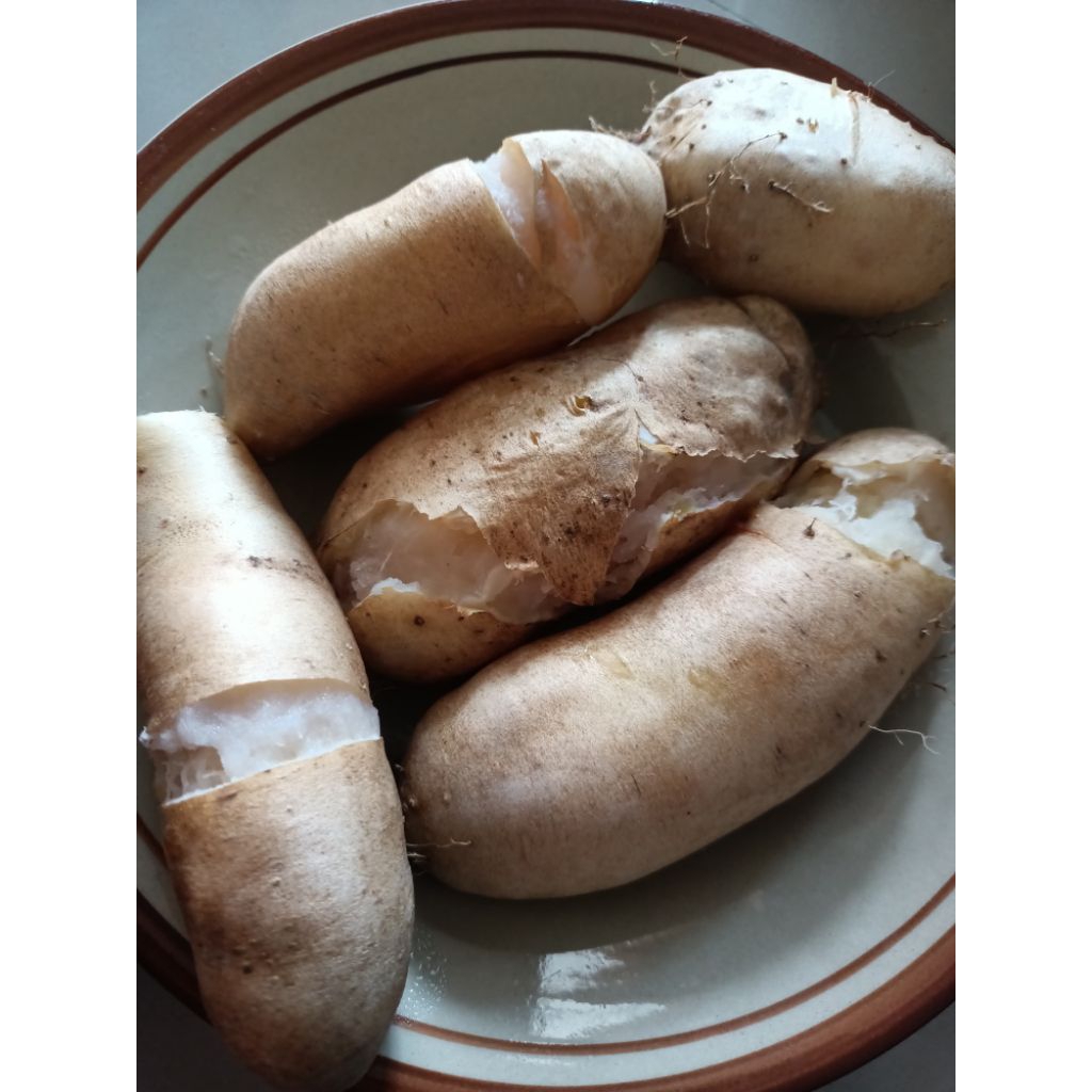 

Forcysn Gembili Ketan Super Paket Hemat Gratis Ongkir