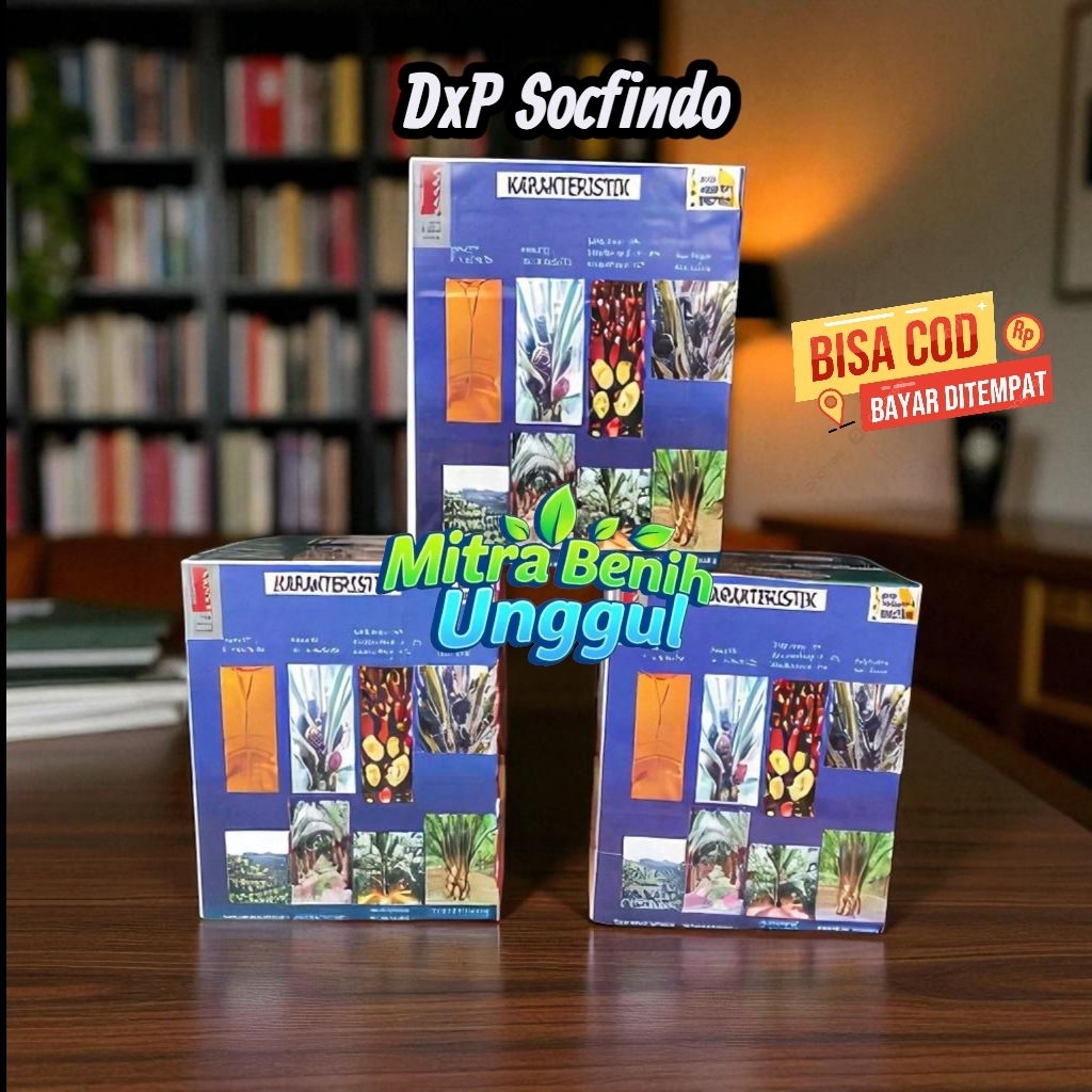 Benih kecambah Sawit DxP Socfindo