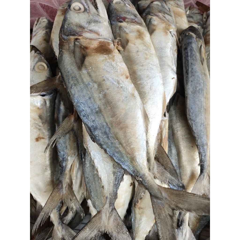 

Ikan Asin Peda Merah